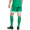 adidas Squadra 25 Fußballshorts Herren JN7482 - team green/white S