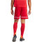 adidas Squadra 25 Fußballshorts Herren JN5466 - team power red 2/team power red 2/white XS
