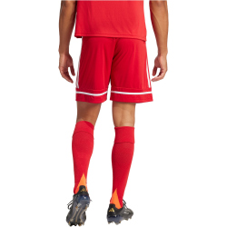 adidas Squadra 25 Fußballshorts Herren JN5466 - team power red 2/team power red 2/white S