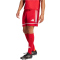 adidas Squadra 25 Fußballshorts Herren JN5466 - team power red 2/team power red 2/white S