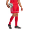 adidas Squadra 25 Fußballshorts Herren JN5466 - team power red 2/team power red 2/white S