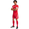 adidas Squadra 25 Fußballshorts Herren JN5466 - team power red 2/team power red 2/white S