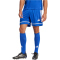 adidas Squadra 25 Fußballshorts Herren JN5465 - team royal blue/team royal blue/white S