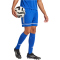 adidas Squadra 25 Fußballshorts Herren JN5465 - team royal blue/team royal blue/white S