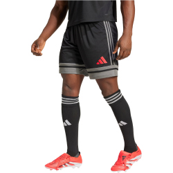 adidas Squadra 25 Fußballshorts Herren JN4447 - black/team grey four/pure ruby S