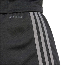 adidas Squadra 25 Fußballshorts Herren JN4447 - black/team grey four/pure ruby S