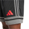 adidas Squadra 25 Fußballshorts Herren JN4447 - black/team grey four/pure ruby S