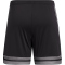 adidas Squadra 25 Fußballshorts Herren JN4447 - black/team grey four/pure ruby S