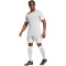 adidas Squadra 25 Fußballshorts Herren JH3413 - team light grey/white XS