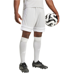 adidas Squadra 25 Fußballshorts Herren JH3413 - team light grey/white S