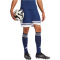 adidas Squadra 25 Fußballshorts Herren JH3410 - team navy blue 2/white S