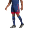 adidas Squadra 25 Fußballshorts Herren JH3408 - team navy blue 2/team power red 2 XS