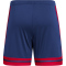 adidas Squadra 25 Fußballshorts Herren JH3408 - team navy blue 2/team power red 2 S
