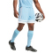 adidas Squadra 25 Fußballshorts Herren JH3407 - team light blue/white S