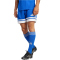 adidas Squadra 25 Fußballshorts Herren JH3405 - team royal blue/white S