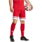adidas Squadra 25 Fußballshorts Herren JE7745 - team power red 2/white XS