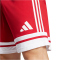 adidas Squadra 25 Fußballshorts Herren JE7745 - team power red 2/white S