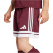 adidas Squadra 25 Fußballshorts Herren JC8677 - team maroon 2/white XS
