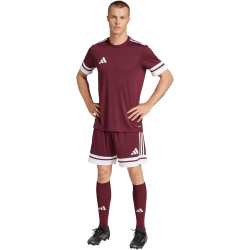adidas Squadra 25 Fußballshorts Herren JC8677 - team maroon 2/white S