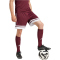 adidas Squadra 25 Fußballshorts Herren JC8677 - team maroon 2/white S