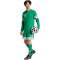 adidas Squadra 25 langarm Fußballtrikot Herren JN7490 - team green/white XS