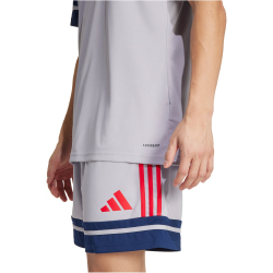 adidas Squadra 25 Fußballtrikot Herren JP3410 - glory grey/team navy blue 2/pure ruby XL