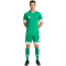 adidas Squadra 25 Fußballtrikot Herren JN7485 - team green/white S