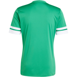 adidas Squadra 25 Fußballtrikot Herren JN7485 - team green/white M