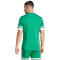 adidas Squadra 25 Fußballtrikot Herren JN7485 - team green/white M