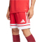 adidas Squadra 25 Fußballtrikot Herren JE2601 - team power red 2/white S