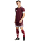 adidas Squadra 25 Fußballtrikot Herren JC8675 - team maroon 2/white S