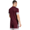 adidas Squadra 25 Fußballtrikot Herren JC8675 - team maroon 2/white M