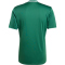 adidas Campeon 25 Fußballtrikot Herren JF6063 - team dark green/white S