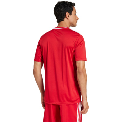 adidas Campeon 25 Fußballtrikot Herren JF6058 - team power red 2/white XS