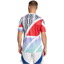 adidas FC Arsenal Aufwärmshirt Herren 2024/25 JE7562...