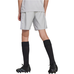 adidas Tastigo 25 Trainingsshorts Kinder JN7175 - team...