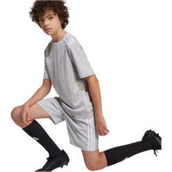 adidas Tastigo 25 Trainingsshorts Kinder JN7175 - team...