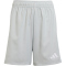 adidas Tastigo 25 Trainingsshorts Kinder JN7175 - team light grey 116