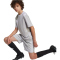 adidas Tastigo 25 Trainingsshorts Kinder JN7175 - team light grey 116