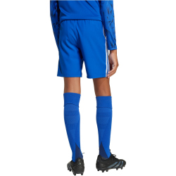 adidas Tastigo 25 Trainingsshorts Kinder JN7174 - team...
