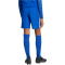 adidas Tastigo 25 Trainingsshorts Kinder JN7174 - team royal blue 116