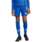 adidas Tastigo 25 Trainingsshorts Kinder JN7174 - team royal blue 116