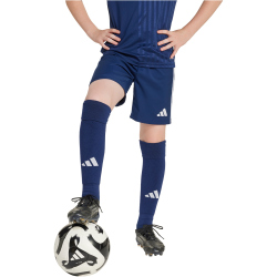 adidas Tastigo 25 Trainingsshorts Kinder JN7173 - team...