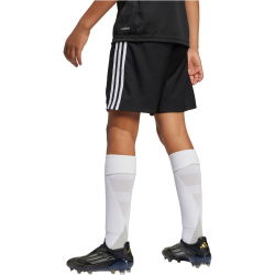 adidas Tastigo 25 Trainingsshorts Kinder JN7170 - black 116