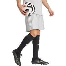adidas Tastigo 25 Trainingsshorts Herren JN7160 - team...