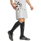 adidas Tastigo 25 Trainingsshorts Herren JN7160 - team light grey XS