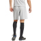 adidas Tastigo 25 Trainingsshorts Herren JN7160 - team light grey XS