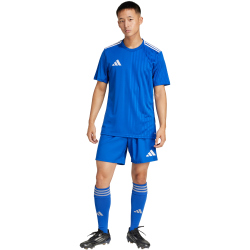 adidas Tastigo 25 Trainingsshorts Herren JN7159 - team...