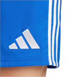 adidas Tastigo 25 Trainingsshorts Herren JN7159 - team...