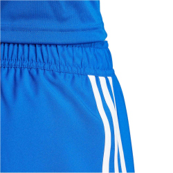 adidas Tastigo 25 Trainingsshorts Herren JN7159 - team...